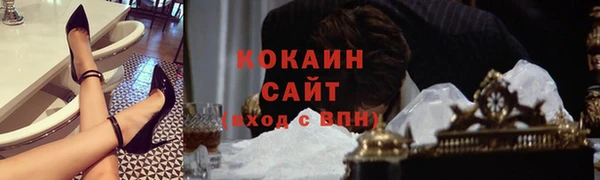 мдпв Богданович
