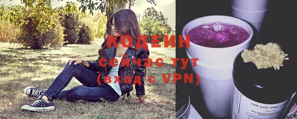 мдпв Богданович