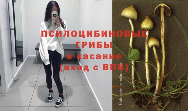 хмурый Богородск