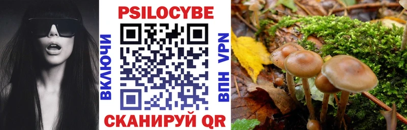 Купить где  Ейск  Галлюциногенные грибы прущие грибы 